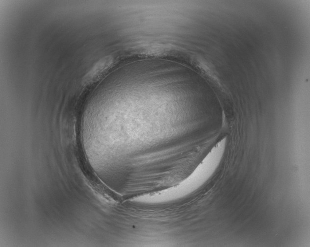 X0000077970685200611101637