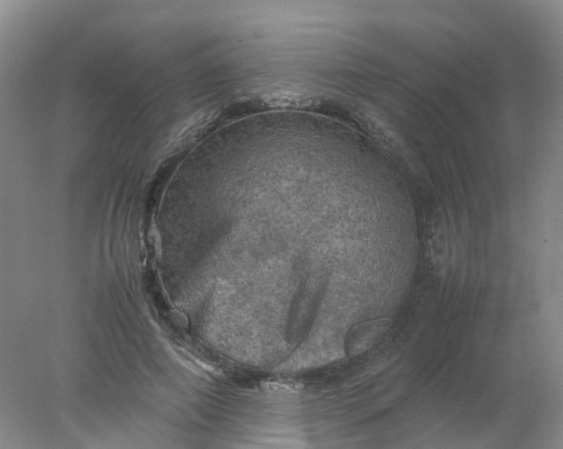 X0000077970690200611101637