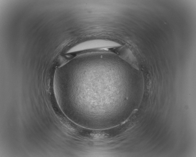 X0000077970693200611101637