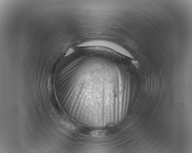 X0000077970700200611101636