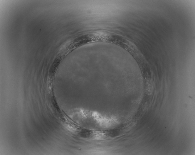 X0000077970701200611101636