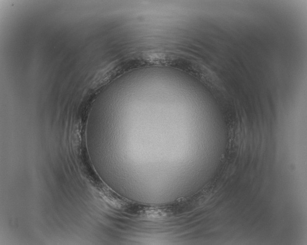 X0000077970702200611101636