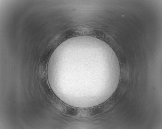 X0000077970705200611101636