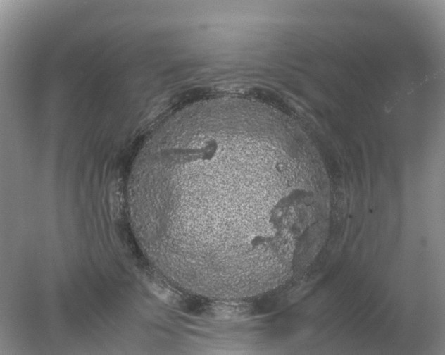 X0000077970707200611101636