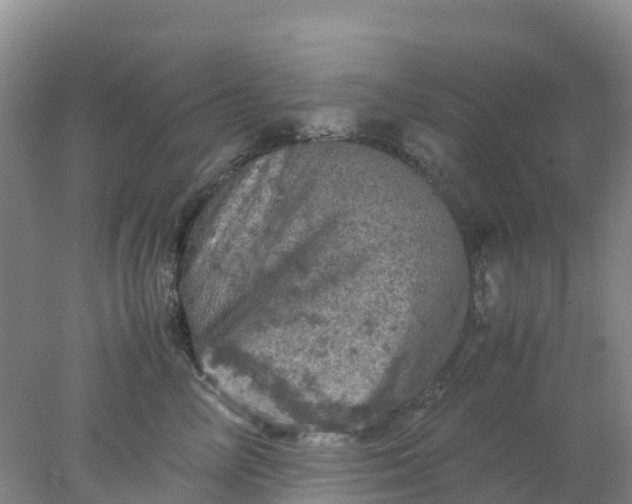 X0000077970714200611101636