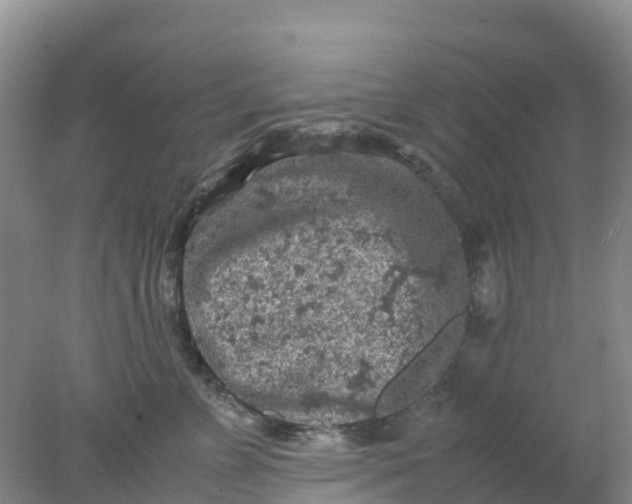 X0000077970715200611101636