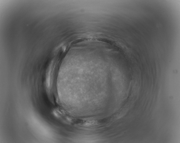 X0000077970720200611101636