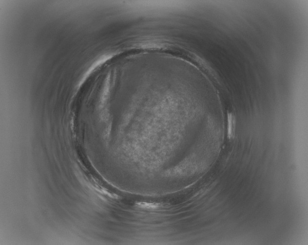 X0000077970723200611101635