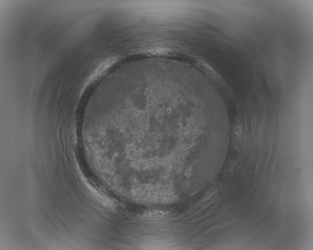 X0000077970734200611101635