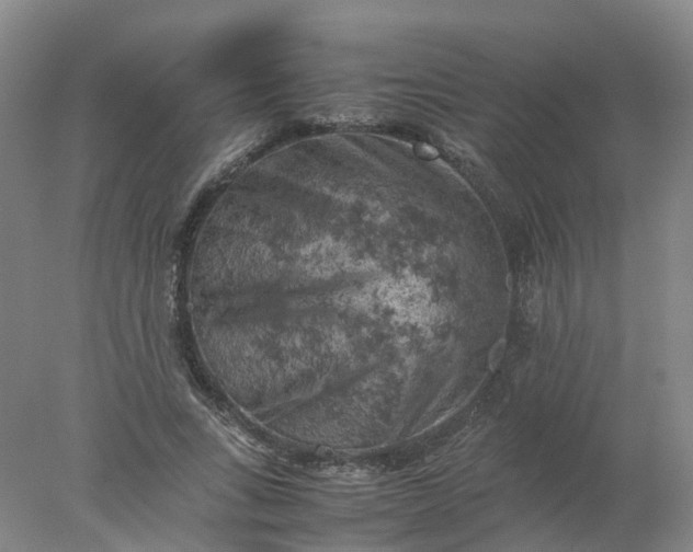 X0000077970735200611101636