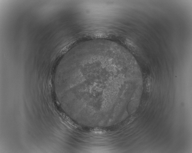 X0000077970746200611101636