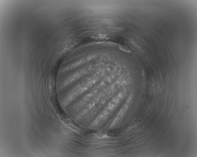 X0000077970747200611101636