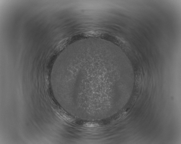 X0000077970749200611101636