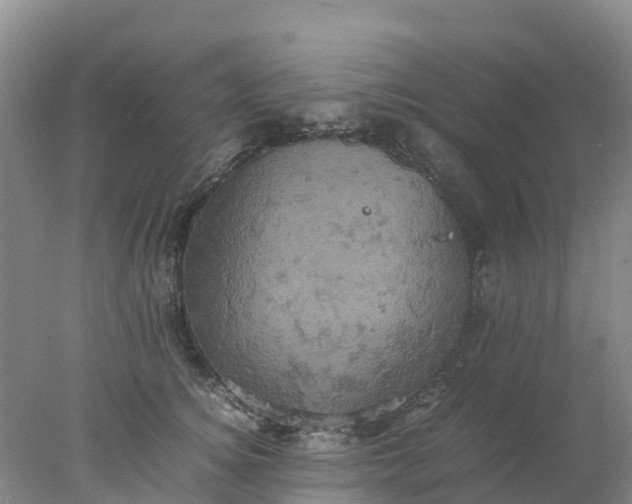 X0000077970756200611101636