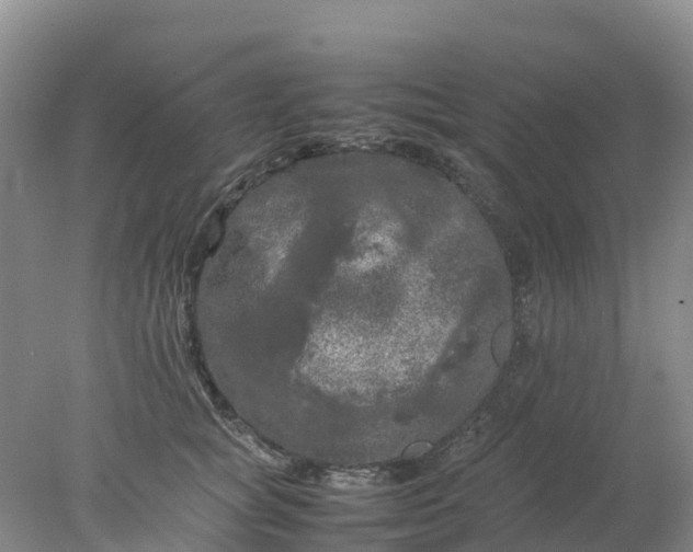 X0000077970757200611101636