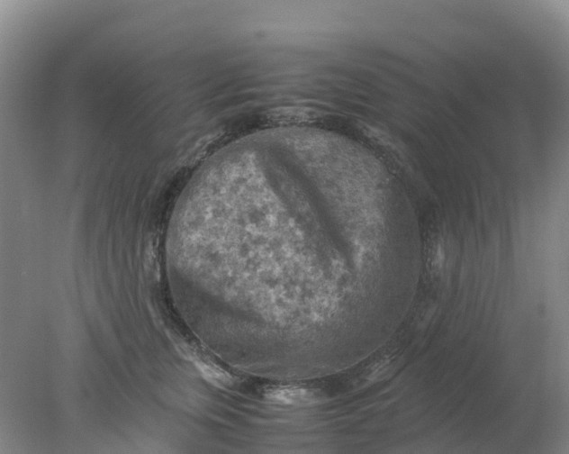 X0000077970759200611101636