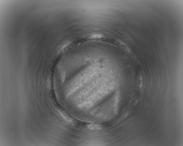 X0000077970762200611101636