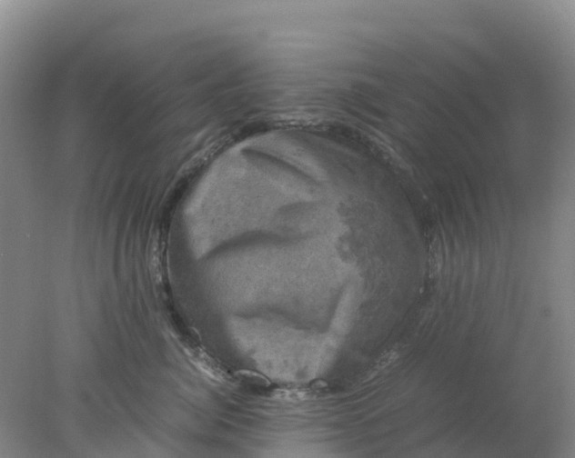 X0000077970764200611101636