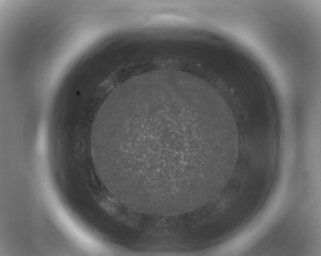 X0000077970765200611101636