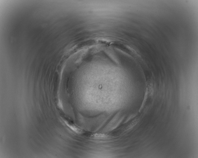 X0000077970766200611101636