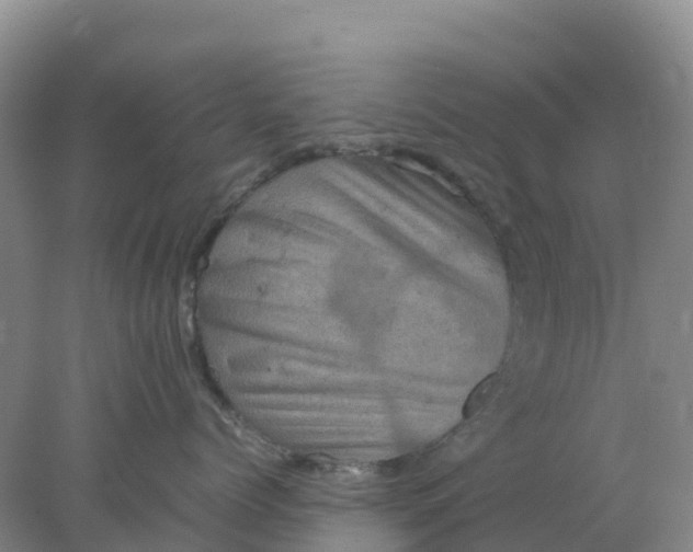 X0000077970768200611101636