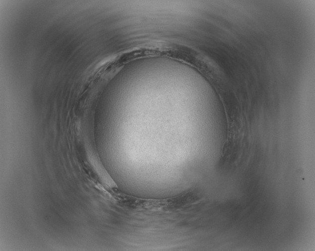 X0000077970773200611101635
