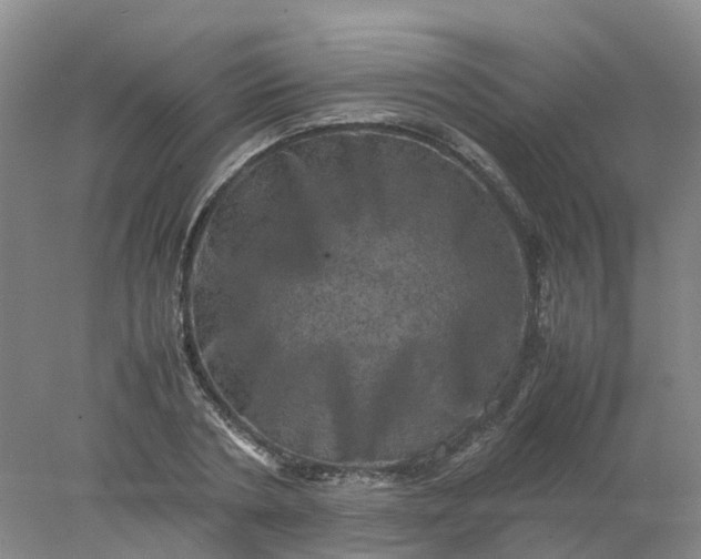 X0000077970786200611101635