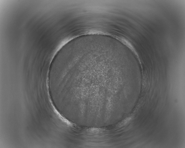 X0000077970847200611101634