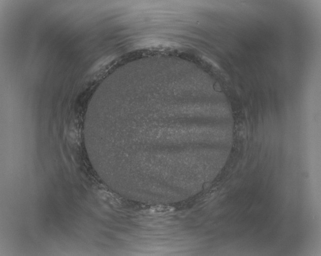 X0000077970869200611101634