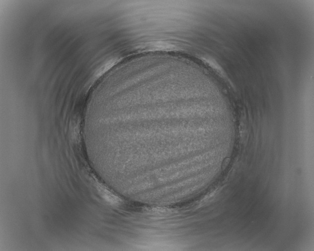 X0000077970873200611101633