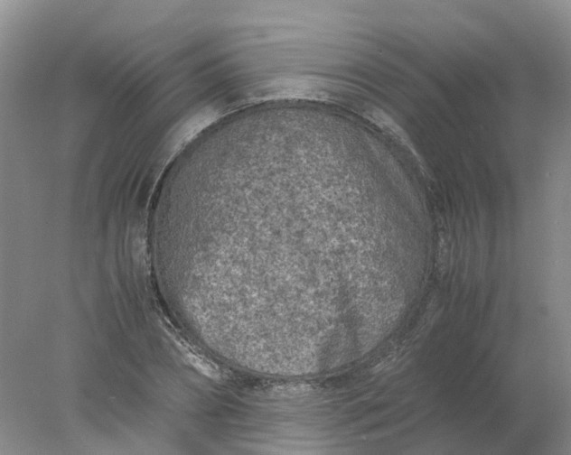 X0000077970882200611101633