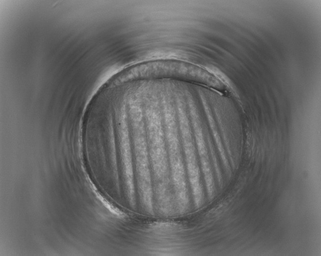 X0000077970894200611101633