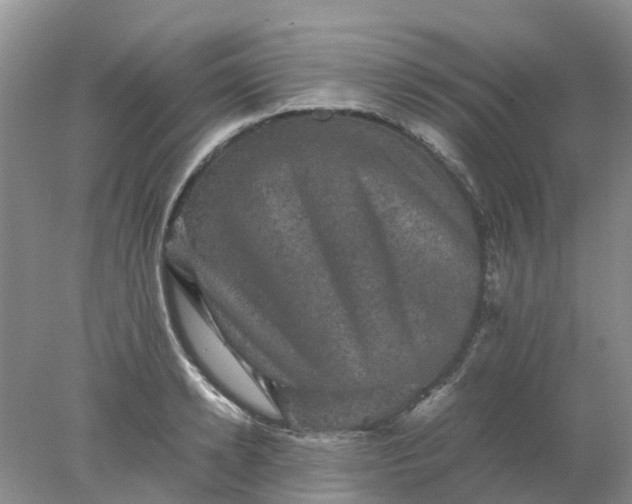 X0000077970942200611101633