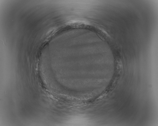 X0000077970965200611101632