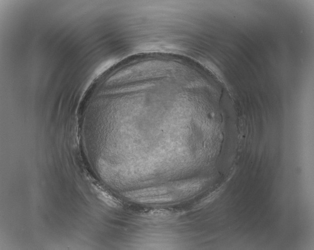 X0000077970974200611101632