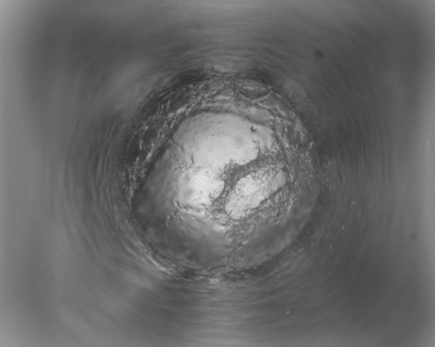 X0000077971009200611101630