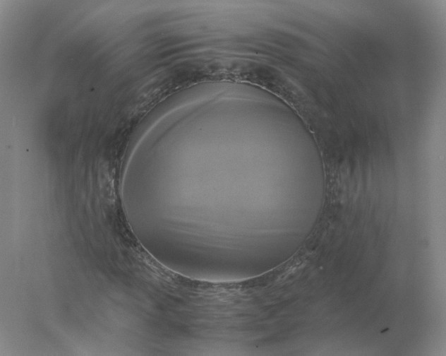 X0000077971013200611101630