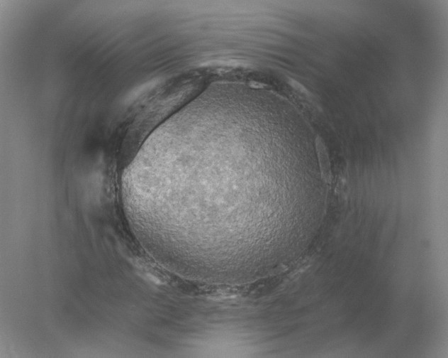 X0000077971014200611101630