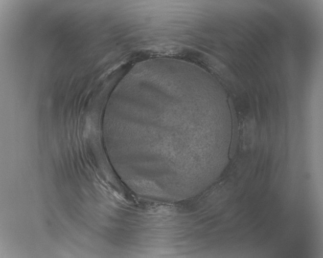 X0000077971058200611101630