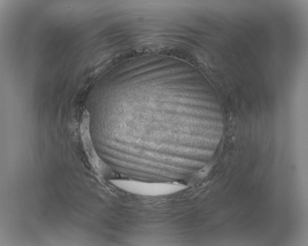 X0000077971109200611101629