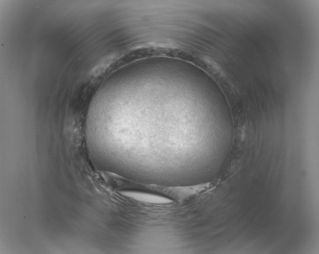X0000077971110200611101629