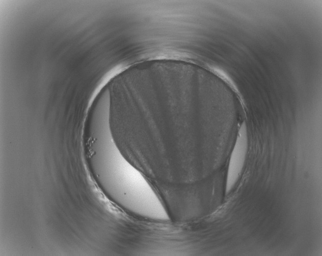 X0000077971138200611101629