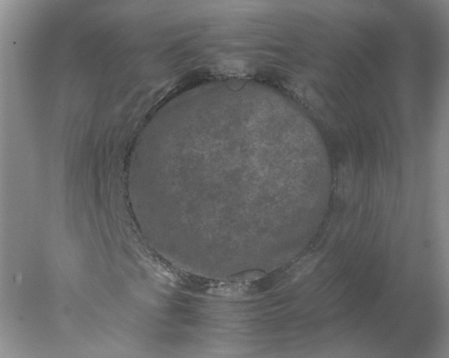 X0000077971201200611101627