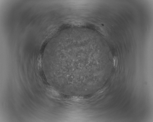 X0000077971251200611101627