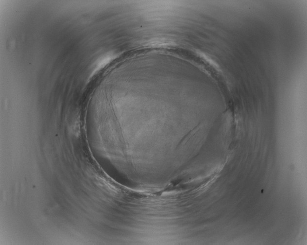X0000077971306200611101626