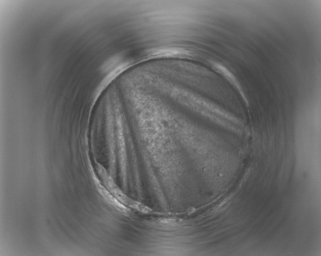 X0000077971330200611101626
