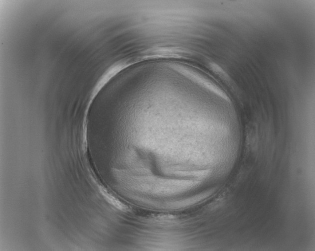 X0000077971370200611101625