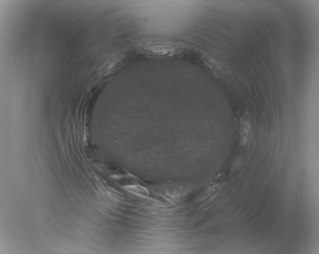 X0000077971394200611101624