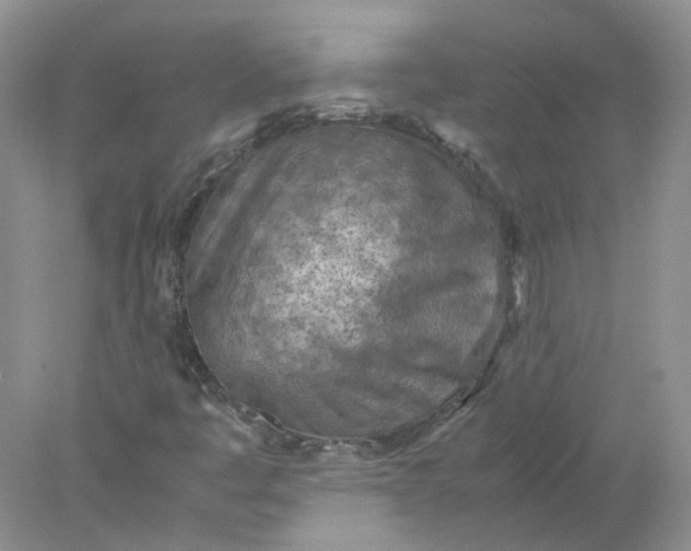 X0000077971445200611101624