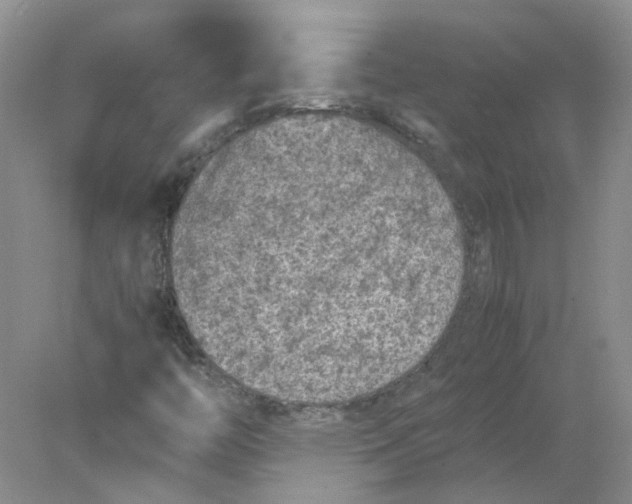 X0000077971446200611101624